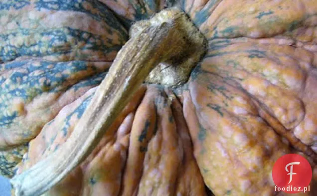 Zupa Dyniowo-Krabowa