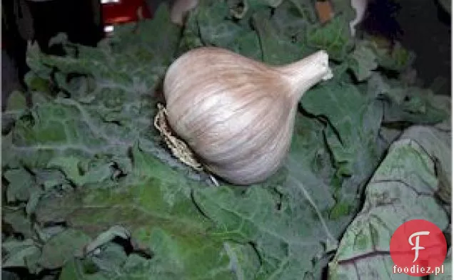 Jarmuż Garlicki