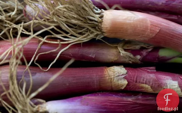 Farro I Pieczone Dyni Przepis