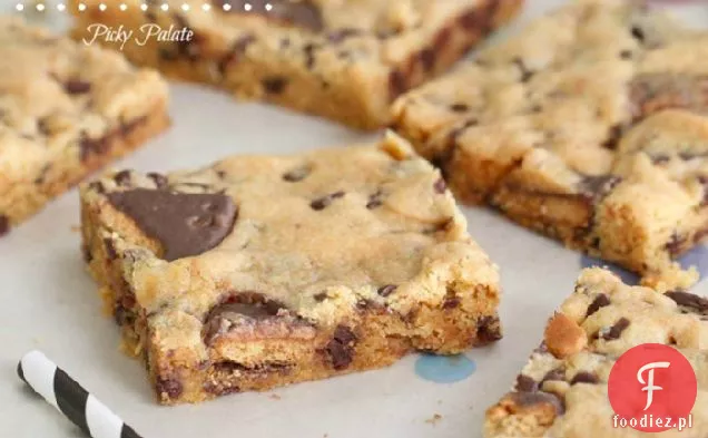 Tosted Marshmallow Tagalong Peanut Butter Cake Bars
