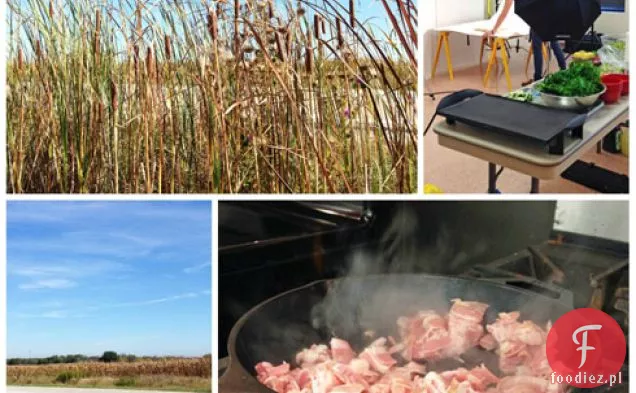 Kimchi Grillowany ser + sędziowanie konkursu Great Midwest Grilled Cheese