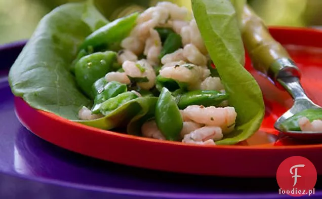 Sałata sałatowa Bay Shrimp and Sugar Snap Pea