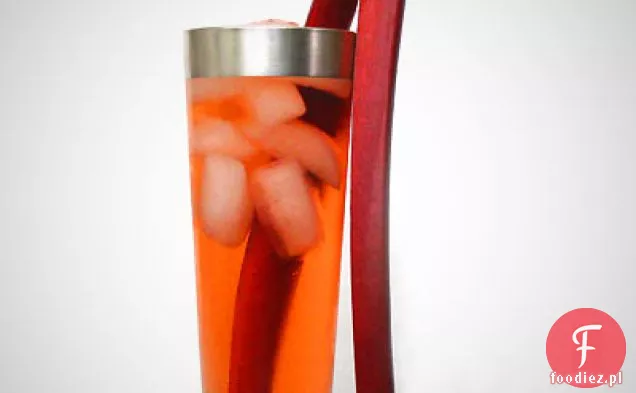 Rabarbar Gin & Tonic