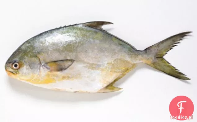 Pieczone Pompano z salsą Avacado, masłem kolendry i pikantnymi Plantanami