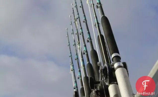 Wybór odpowiednich owoców morza-kup American