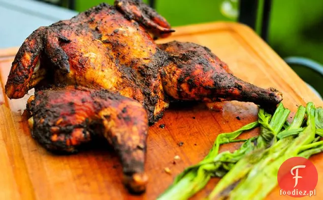 Grillowanie: Kurczak po meksykańsku z zieloną cebulką