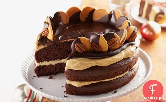 Tort Żółwiowy
