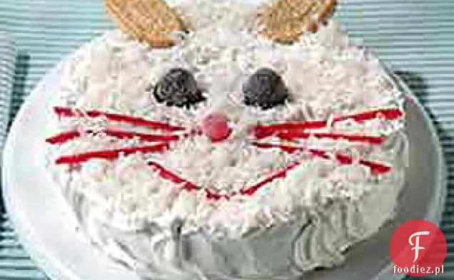 Cool Bunny Deser