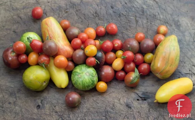 Sałatka Pomidorowa Heirloom