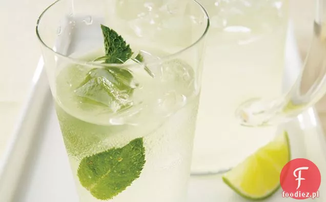 Easy Mock Mojito