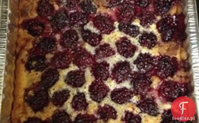 Cobbler Blackberry