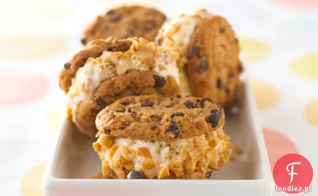 Chocolate Chip Ice Cream Sandwich