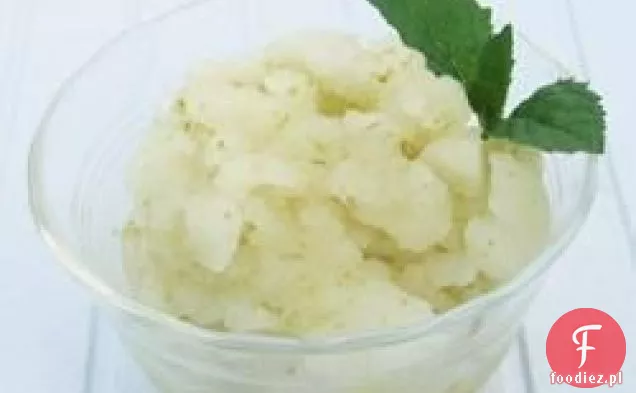 Mojito Sorbet