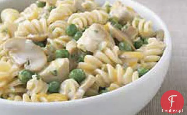 Tetrazzini Z Indyka