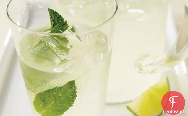 Easy Mojito