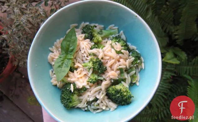 Sałatka Z Brokułów I Orzo Z Bazylią Vinaigrette