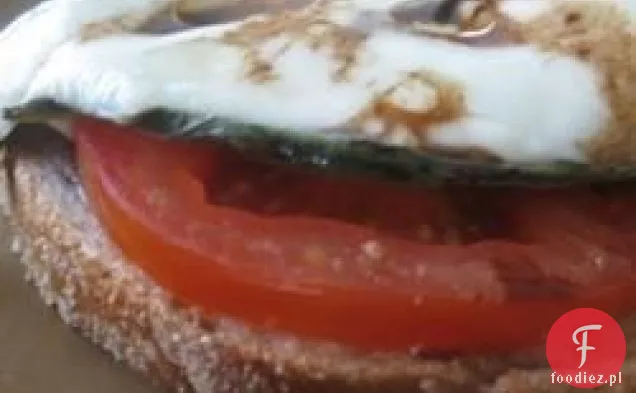 Open Face Mozzarella Sandwich