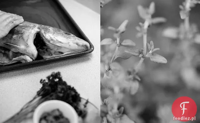 Grillowany Plamiak Faszerowany Cytryną I Ziołami