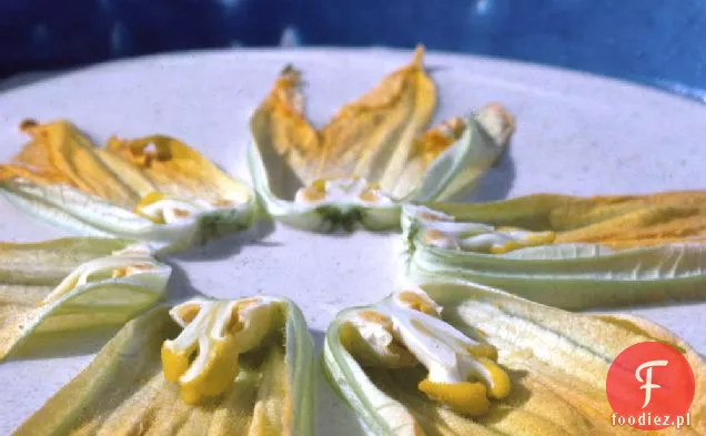 Zupa Squash Blossom