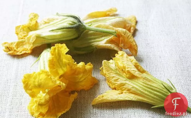 Kwiaty squasha nadziewane serem herbacianym w cieście