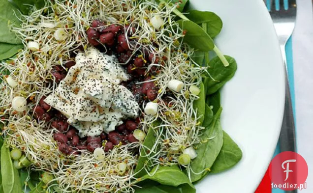 Fasola Adzuki, Ser Gorgonzola I Kiełki Lucerny