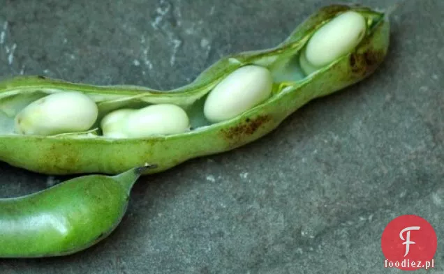 Przecier Z Fasoli Fava