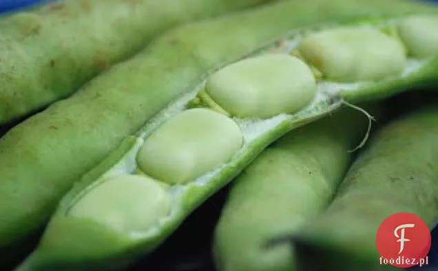 Fava Bean Crostini