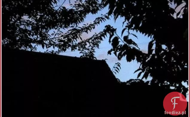 Habas Con Jamon (bób z szynką hiszpańską)