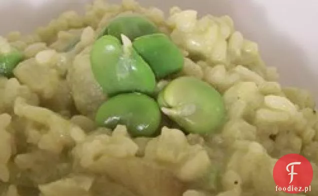 Zielone Risotto z fasolą Fava