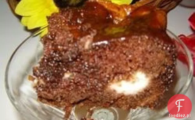 Earthquake Cake I