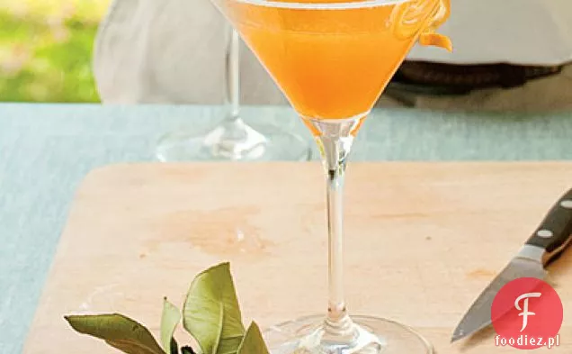 Citrus Sidecar