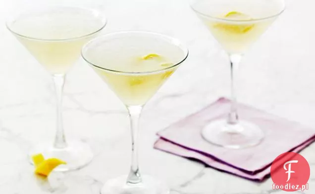 Cytryna i wódka Martini