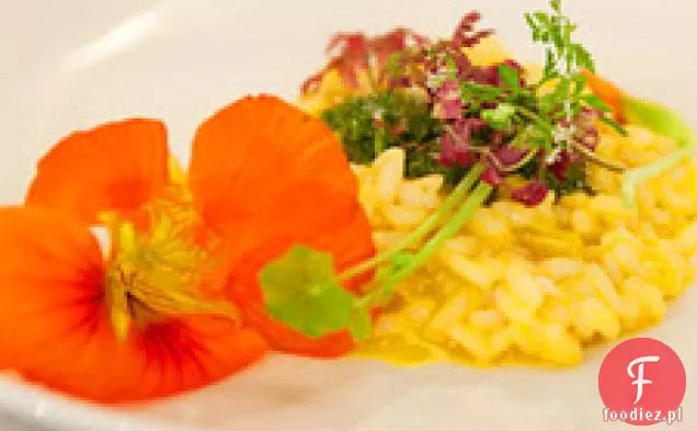 Nasturcja Risotto