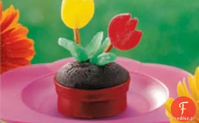 Cupcakes Flowerpot