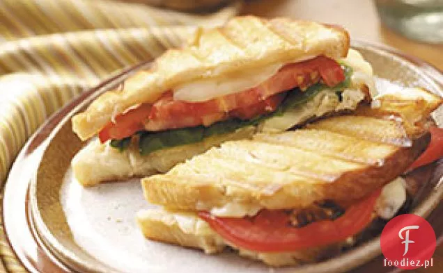 Monterey Karczoch Panini