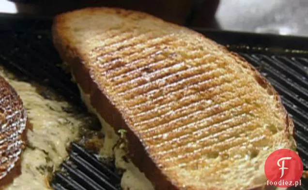 Ser Z Grilla Mozzarella