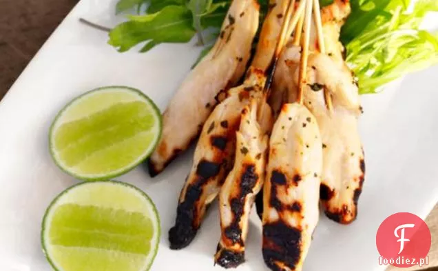 Szaszłyki Z Kurczaka Margarita