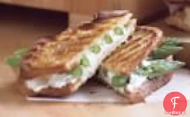 Panini Ze Szparagami I Kozim Serem