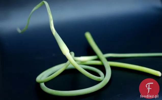 Czosnek Scape Pesto