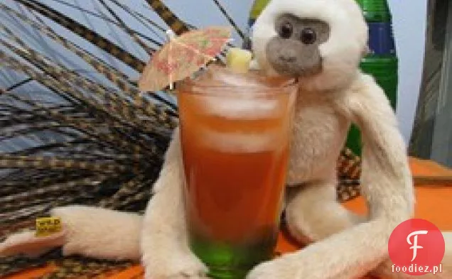Pijana małpa