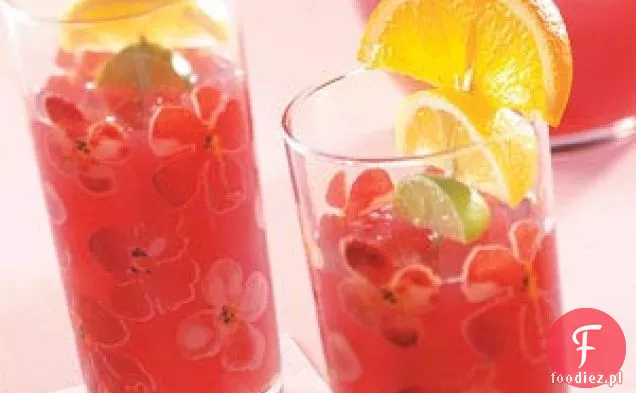 Pomarańczowy poncz żurawinowy