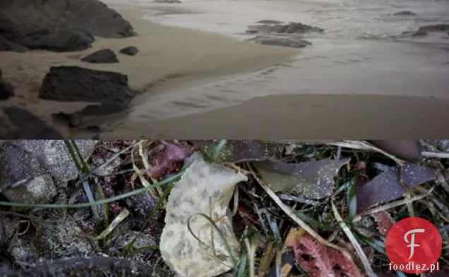 Chutney Z Pieczonej Cytryny