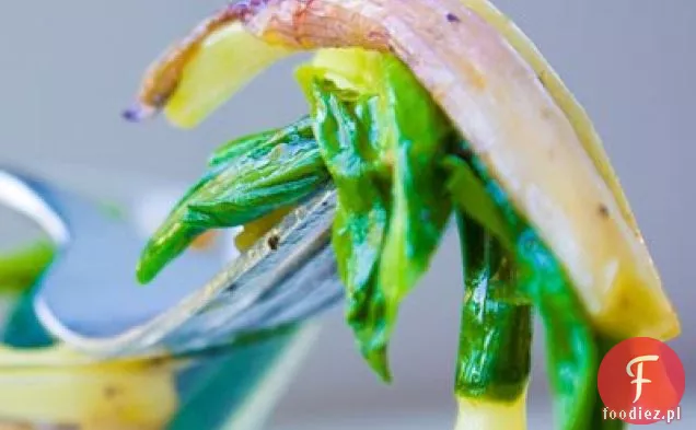 Simple Wild Ramps Degustacja