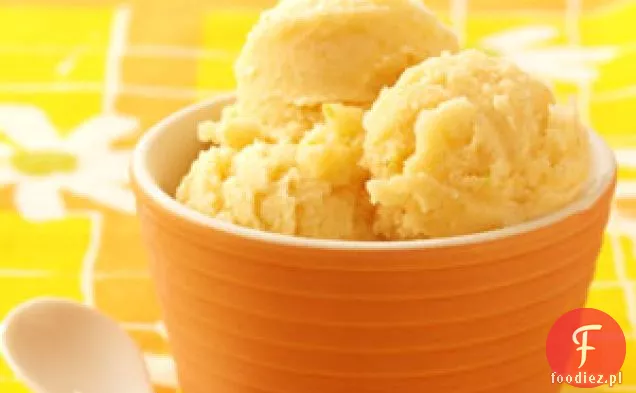 Sorbet Cytrusowo-Melonowy