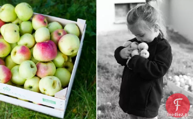 Wegańskie i bezglutenowe ciastka jabłkowo-owsiane