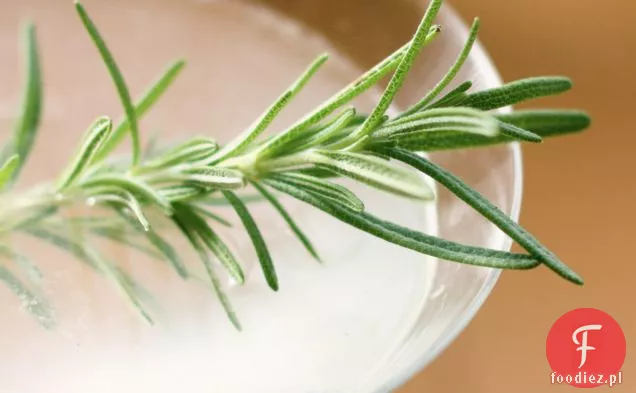 Rozmaryn I Mięta Martini