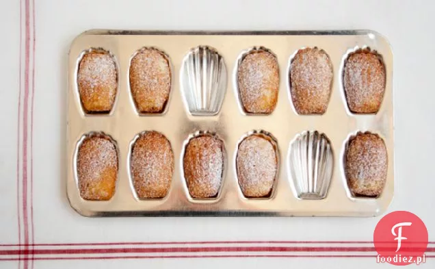 Miód Lawendowy Madeleines