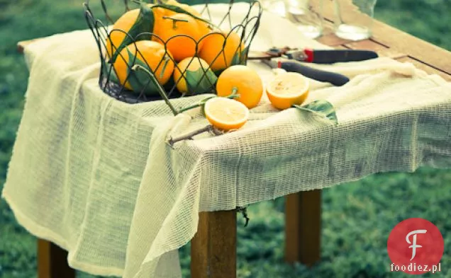 Przepis Na Lemoniadę Meyera Z Rozmarynem