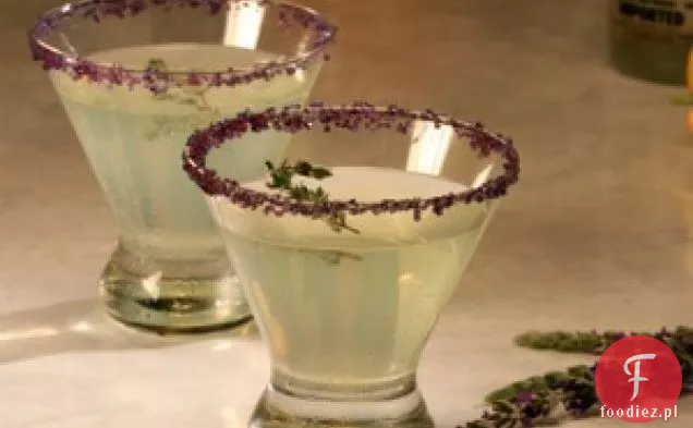 Martini Z Tymiankiem Cytrynowym