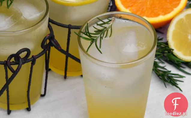 Rosemary Citrus Spritzer